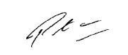 CEO Sign